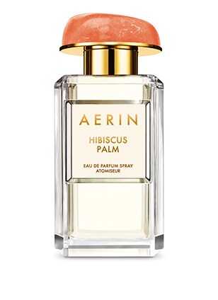 AERIN Hibiscus Palm